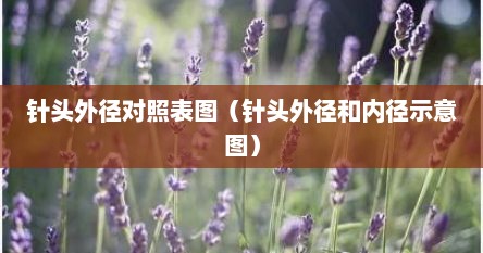 针头外径对照表图（针头外径和内径示意图）