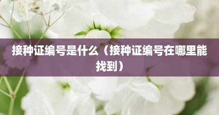 接种证编号是什么（接种证编号在哪里能找到）
