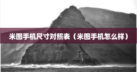 米图手机尺寸对照表（米图手机怎么样）