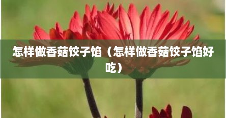 怎样做香菇饺子馅（怎样做香菇饺子馅好吃）