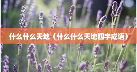 什么什么天地（什么什么天地四字成语）