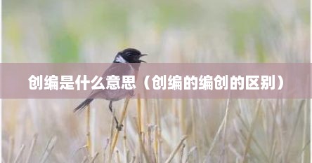 创编是什么意思（创编的编创的区别）