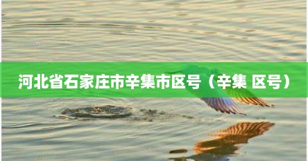 河北省石家庄市辛集市区号（辛集 区号）