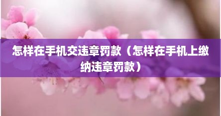 怎样在手机交违章罚款（怎样在手机上缴纳违章罚款）