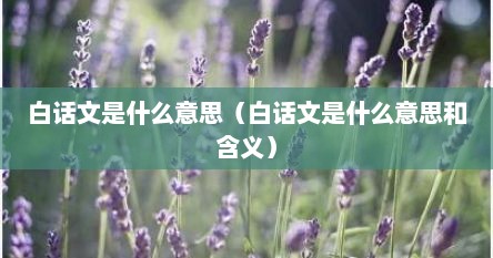 白话文是什么意思（白话文是什么意思和含义）