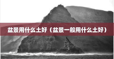 盆景用什么土好（盆景一般用什么土好）