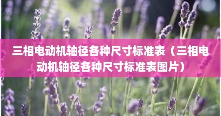 三相电动机轴径各种尺寸标准表（三相电动机轴径各种尺寸标准表图片）