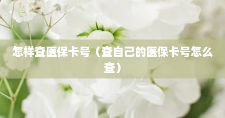 怎样查医保卡号（查自己的医保卡号怎么查）