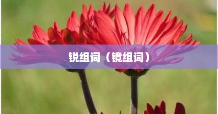锐组词（镜组词）