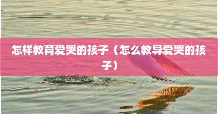 怎样教育爱哭的孩子(怎么教导爱哭的孩子)