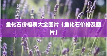 鱼化石价格表大全图片(鱼化石价格及图片) 鱼化石价格表大全图片(鱼化石价格及图片)