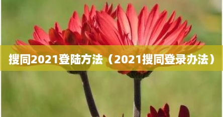 搜同2021登陆方法（2021搜同登录办法）