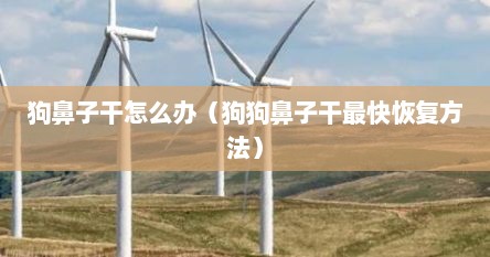 狗鼻子干怎么办（狗狗鼻子干最快恢复方法）