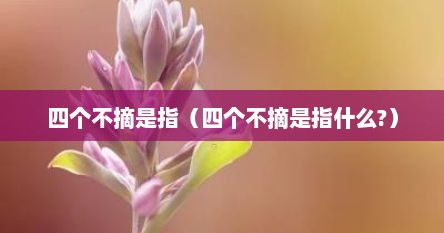 四个不摘是指（四个不摘是指什么?）