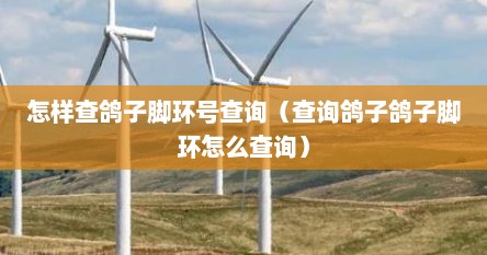 怎样查鸽子脚环号查询（查询鸽子鸽子脚环怎么查询）
