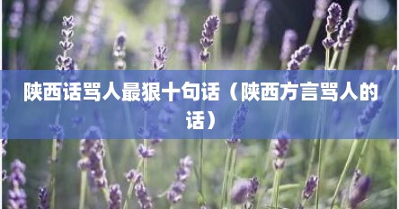 陕西话骂人最狠十句话（陕西方言骂人的话）