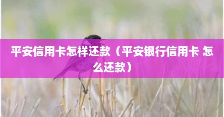 平安信用卡怎样还款（平安银行信用卡 怎么还款）