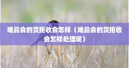 唯品会的货拒收会怎样（唯品会的货拒收会怎样处理呢）