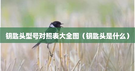 钥匙头型号对照表大全图（钥匙头是什么）