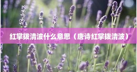 红掌拨清波什么意思（唐诗红掌拨清波）