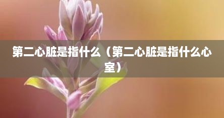 第二心脏是指什么（第二心脏是指什么心室）