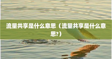 流量共享是什么意思（流量共享是什么意思?）