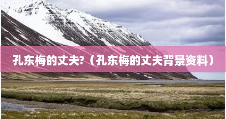 孔东梅的丈夫?（孔东梅的丈夫背景资料）