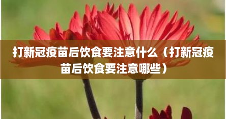 打新冠疫苗后饮食要注意什么（打新冠疫苗后饮食要注意哪些）