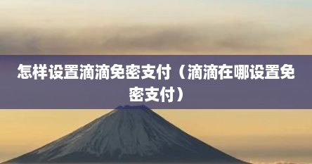 怎样设置滴滴免密支付（滴滴在哪设置免密支付）