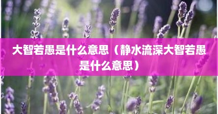 大智若愚是什么意思（静水流深大智若愚是什么意思）