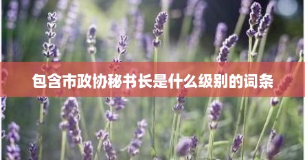 包含市政协秘书长是什么级别的词条