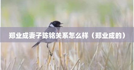 郑业成妻子陈铭关系怎么样（郑业成的）