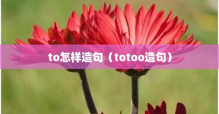 to怎样造句（totoo造句）
