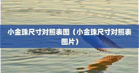 小金珠尺寸对照表图（小金珠尺寸对照表图片）