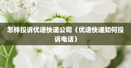 怎样投诉优速快递公司（优速快递如何投诉电话）