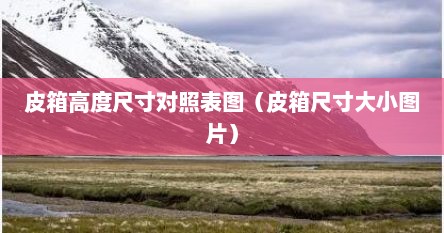 皮箱高度尺寸对照表图（皮箱尺寸大小图片）