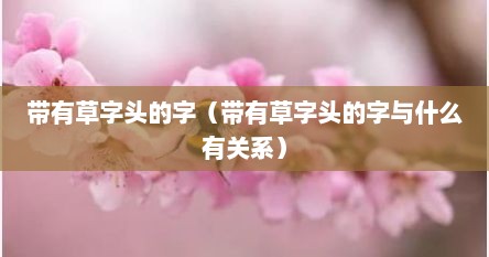 带有草字头并跟草有关的字（带有草字头的字都跟什么有关）
