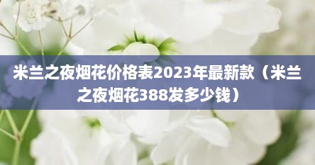 米兰之夜烟花价格表2023年最新款(米兰之夜烟花388发多少钱) 米兰之夜烟花价格表2023年最新款(米兰之夜烟花388发多少钱)