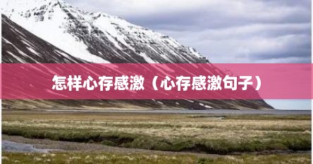 怎样心存感激（心存感激句子）