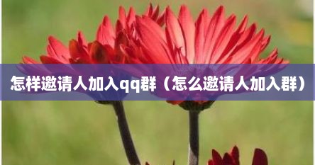 怎样邀请人加入qq群（怎么邀请人加入群）
