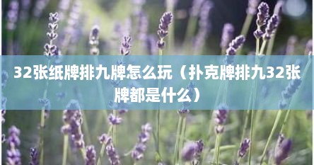 32张纸牌排九牌怎么玩（扑克牌排九32张牌都是什么）