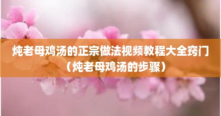 炖老母鸡汤的正宗做法视频教程大全窍门（炖老母鸡汤的步骤）