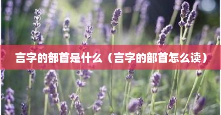 言字的部首是什么（言字的部首怎么读）