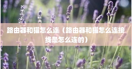 路由器和猫怎么连（路由器和猫怎么连接线是怎么连的）