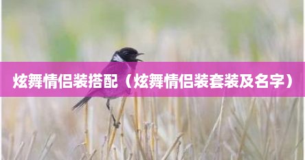 炫舞情侣装搭配（炫舞情侣装套装及名字）