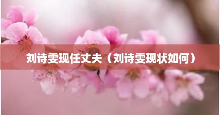 刘诗雯现任丈夫（刘诗雯现状如何）