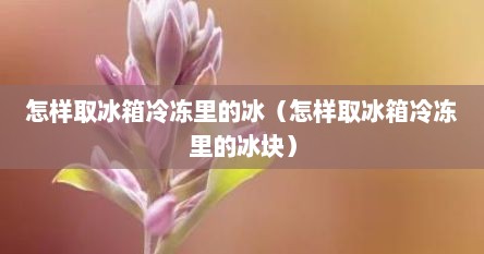 怎样取冰箱冷冻里的冰（怎样取冰箱冷冻里的冰块）