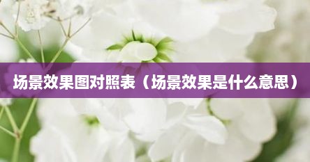 场景效果图对照表（场景效果是什么意思）