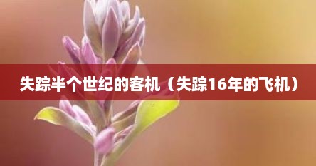 失踪半个世纪的客机（失踪16年的飞机）