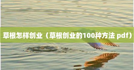 草根怎样创业（草根创业的100种方法 pdf）